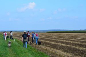 Balade dans les champs avec les Youkis heureux