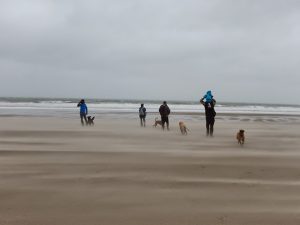 Balade sociale à la mer avec les Youkis heureux