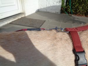 Le clichet du mousqueton est positionné vers le haut