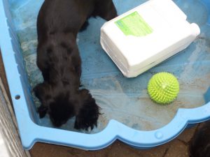 Les plaisirs de la flottaison