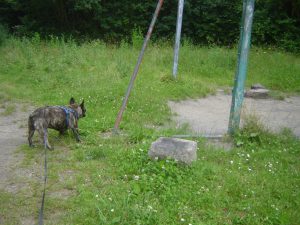 Terrain de football à l'abandon