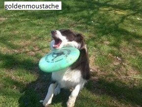 jeux-dangereux-baton-frisbee-balle