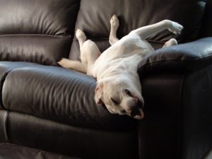 Dormir seul...