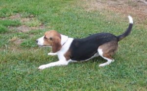 Langage corporel: tu joues avec moi