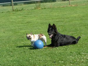 Quand partager la balle est possible ...