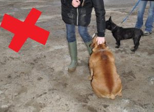 Mettre la main sur la tête est invasif et est une menace