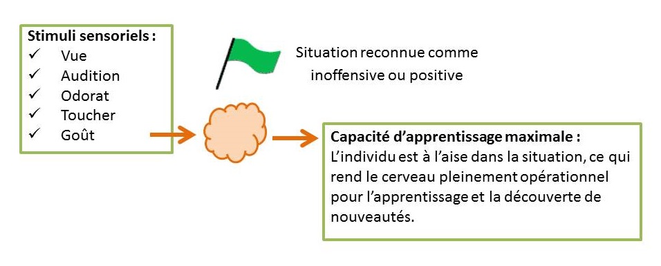 quand un individu maitrise une situation: le corps reste en état normal de calme