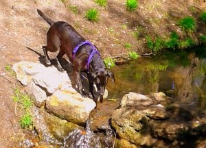 Maya absorbée par l'observation d'une cascade