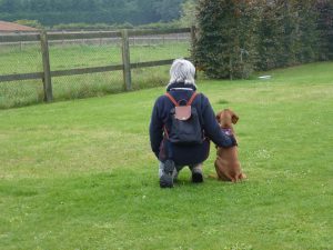 Faire une pause promenade regarder passer le monde