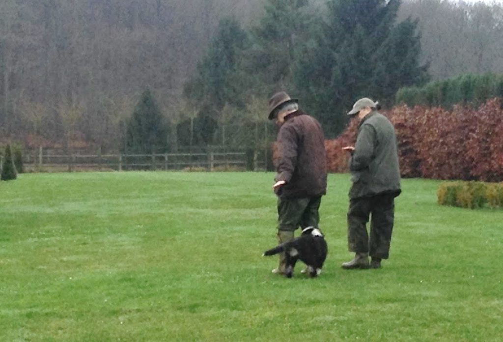 signal-de-la-main-chiot-saute-marina-gates-fleming