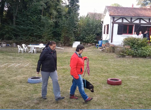 parcours-slalom-pneus-pour-renforcement-de-la-musculature