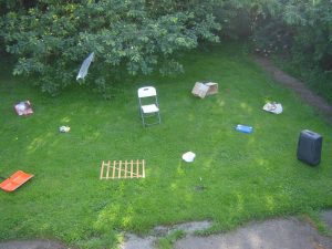 environnement-enrichi-labrador